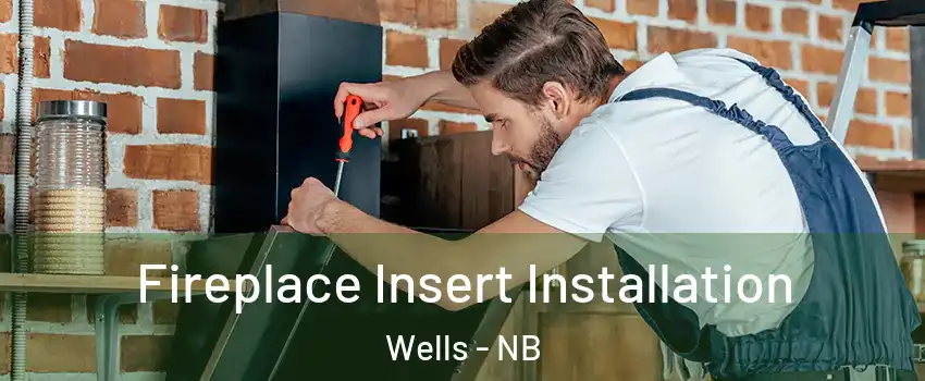  Fireplace Insert Installation Wells - NB