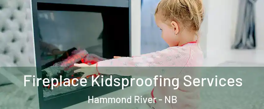  Fireplace Kidsproofing Services Hammond River - NB