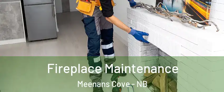  Fireplace Maintenance Meenans Cove - NB