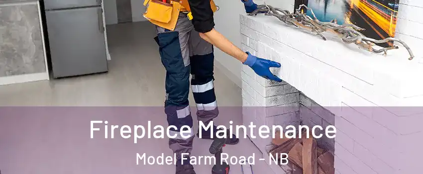 Fireplace Maintenance Model Farm Road - NB