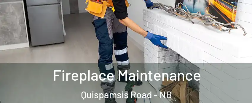  Fireplace Maintenance Quispamsis Road - NB