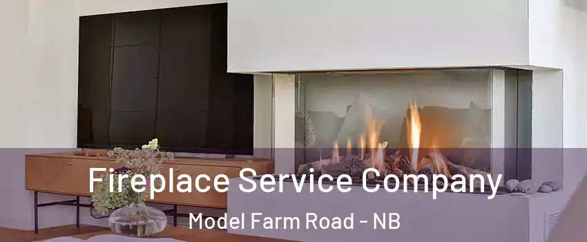  Fireplace Service Company Model Farm Road - NB