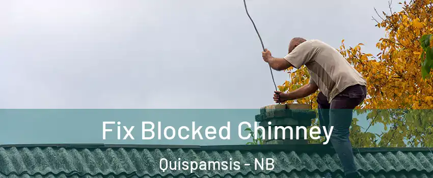  Fix Blocked Chimney Quispamsis - NB