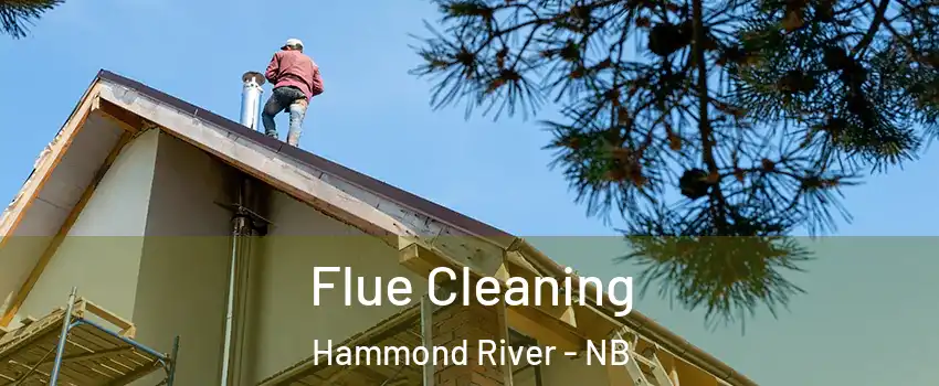 Flue Cleaning Hammond River - NB