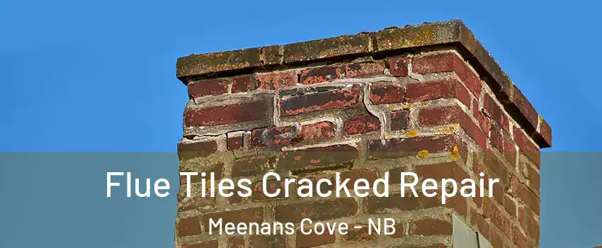  Flue Tiles Cracked Repair Meenans Cove - NB