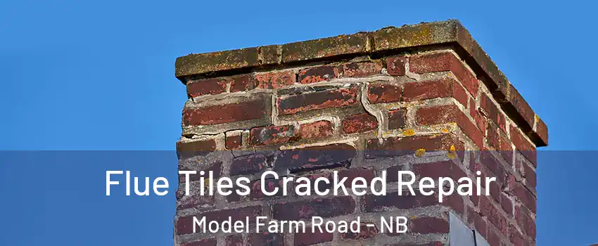  Flue Tiles Cracked Repair Model Farm Road - NB