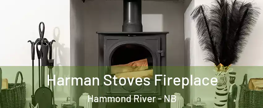 Harman Stoves Fireplace Hammond River - NB