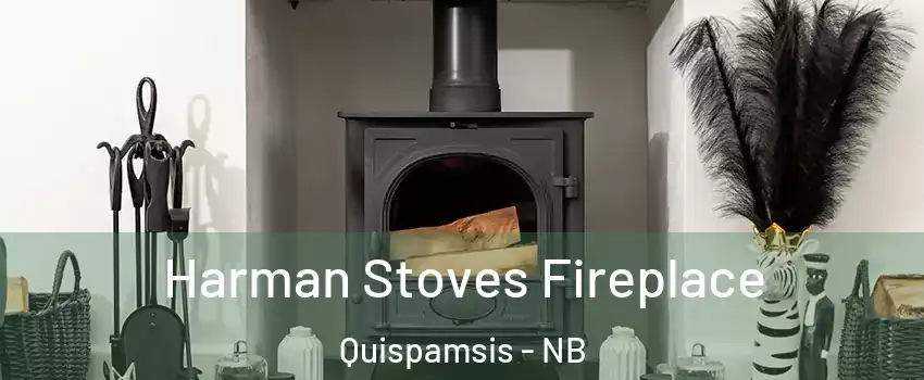 Harman Stoves Fireplace Quispamsis - NB