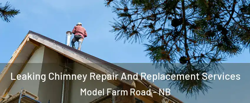  Leaking Chimney Repair And Replacement Services Model Farm Road - NB