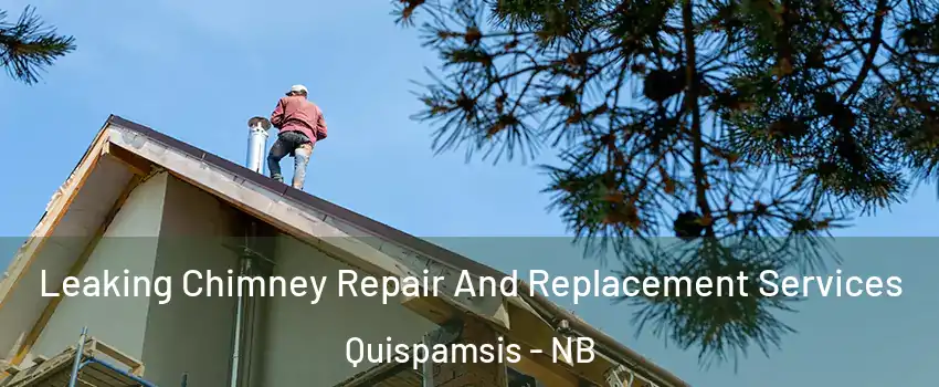 Leaking Chimney Repair And Replacement Services Quispamsis - NB