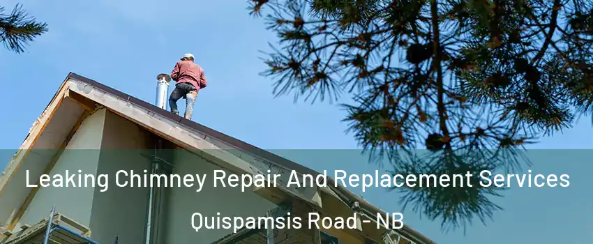  Leaking Chimney Repair And Replacement Services Quispamsis Road - NB