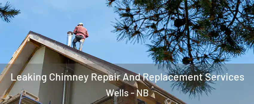 Leaking Chimney Repair And Replacement Services Wells - NB