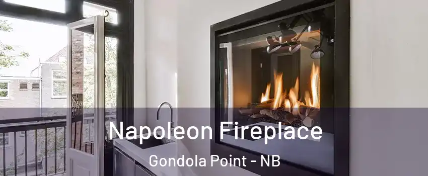  Napoleon Fireplace Gondola Point - NB