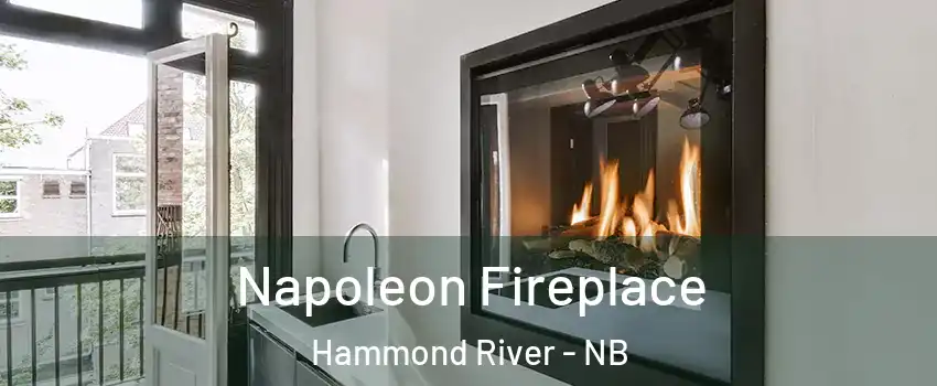 Napoleon Fireplace Hammond River - NB