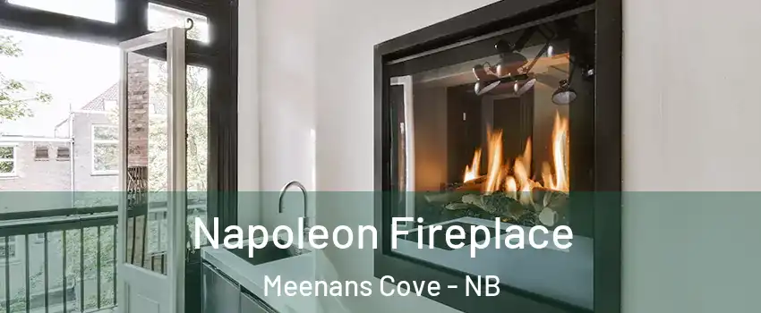  Napoleon Fireplace Meenans Cove - NB