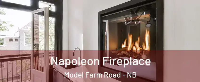 Napoleon Fireplace Model Farm Road - NB
