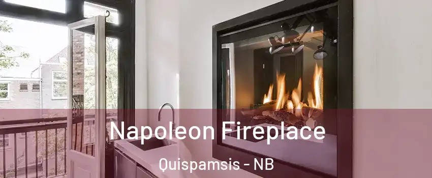 Napoleon Fireplace Quispamsis - NB