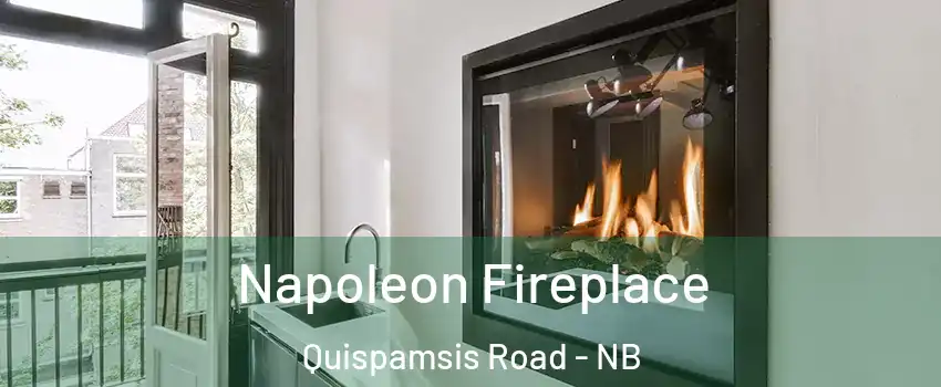  Napoleon Fireplace Quispamsis Road - NB