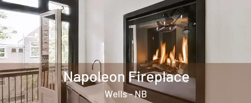  Napoleon Fireplace Wells - NB