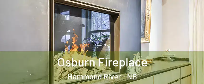  Osburn Fireplace Hammond River - NB