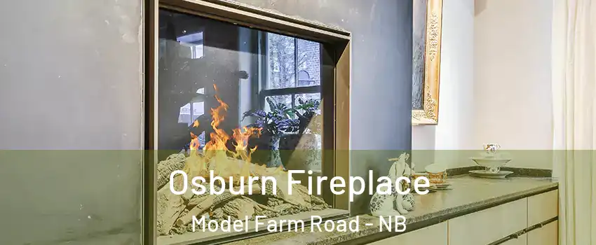  Osburn Fireplace Model Farm Road - NB