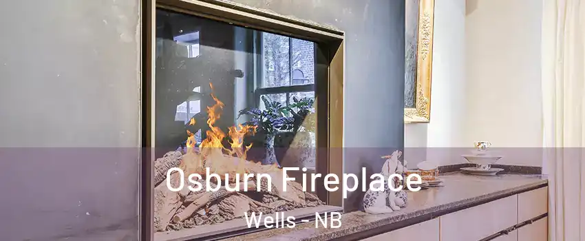  Osburn Fireplace Wells - NB