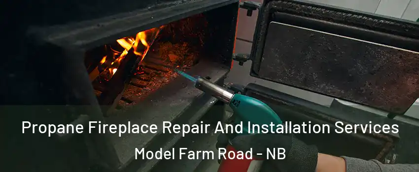  Propane Fireplace Repair And Installation Services Model Farm Road - NB