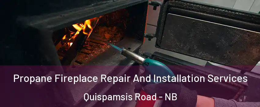  Propane Fireplace Repair And Installation Services Quispamsis Road - NB