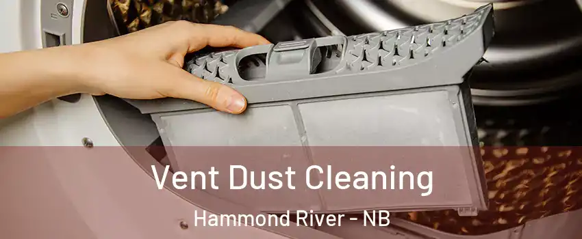  Vent Dust Cleaning Hammond River - NB
