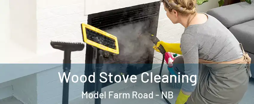  Wood Stove Cleaning Model Farm Road - NB